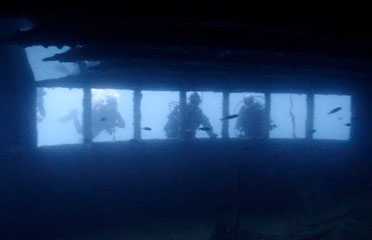 Peltastis wreck scuba